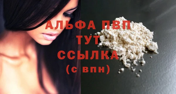 стаф Абинск