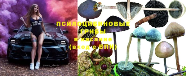 герыч Абаза