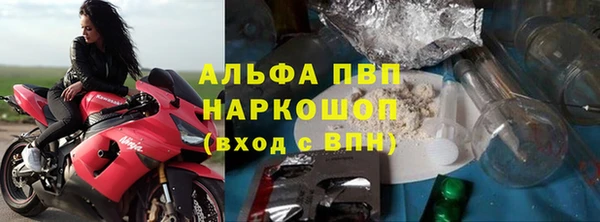 стаф Абинск